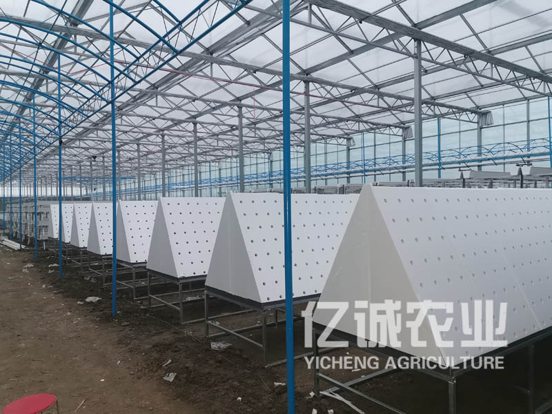 薯類(lèi)作物的溫室大棚怎么建設(shè)？造價(jià)高不高？